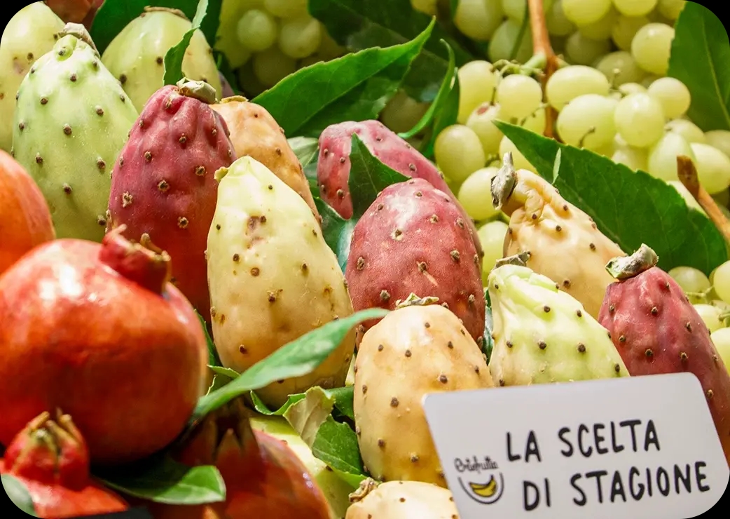 laspeseria chi siamo filosofia laspeseria chi siamo filosofia
